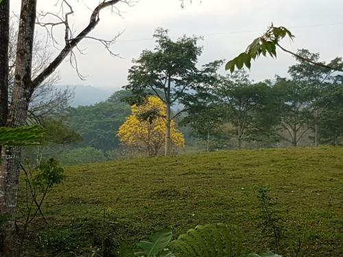 Posada Auto Hotel Para�so Inn