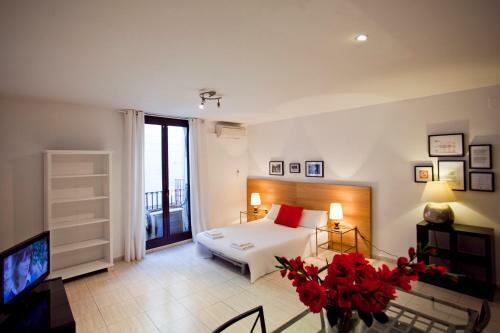 Ramblas Apartments