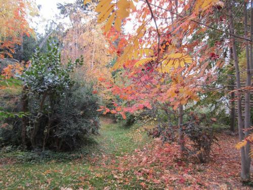 Posada Hoster�a Brisas Del Cerro
