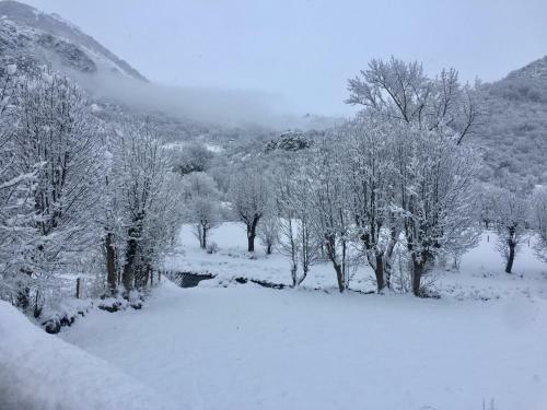 Apartaments Alta Muntanya