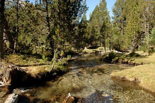 Apartaments Alta Muntanya