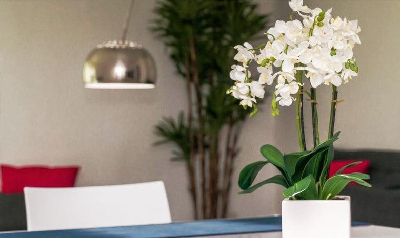 Apartamento Via Tendenza