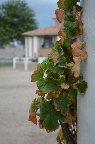 Agroturismo Finca El Carmen