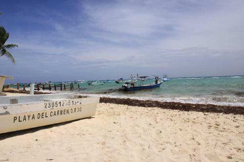 Beautiful Apartment In Playa Del Carmen