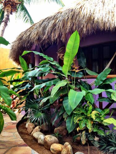 Albergue One Love Hostal Puerto Escondido