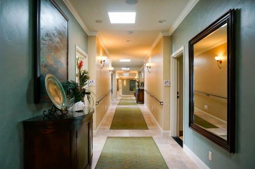 Posada Blue Dolphin Inn