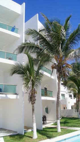 Apartamentos Condominios Lindos