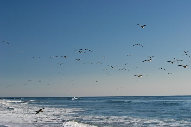 Hotel Holiday Inn Express & Suites Carpinteria