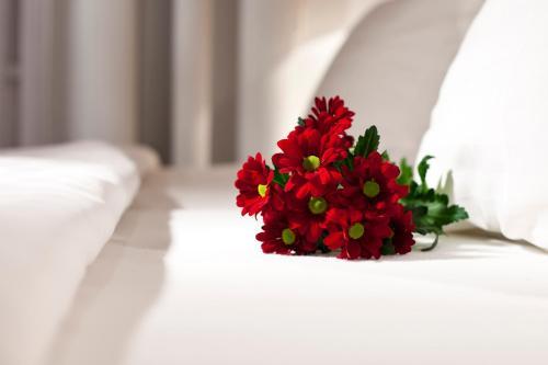 Hotel Dahlia Inn