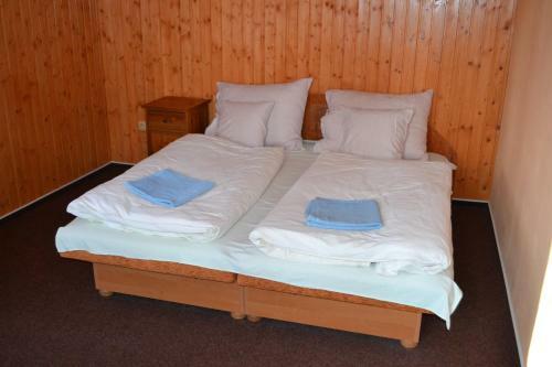 Apartamentos Penzion U Ml�na