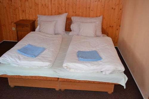 Apartamentos Penzion U Ml�na