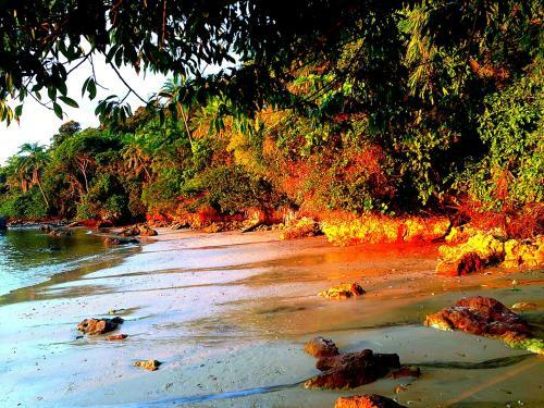Hostal Bangal� Dos Sonhos
