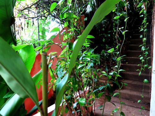 Bed & Breakfast Para Ti Guesthouse