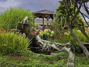 Surf Motel And Gardens