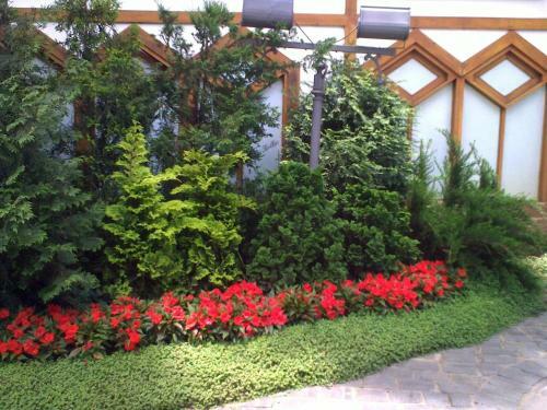 Apartamento Center Sui�o Flats