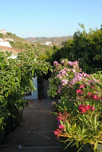 Agroturismo Cortijo Lagar De Luisa