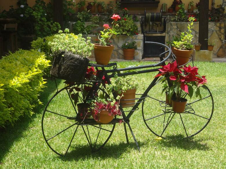 Nuestras Ra�ces Hotel - Museo - Restaurante