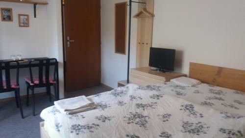 Hostal Penzion A Restaurace Modr� R??e T�bor
