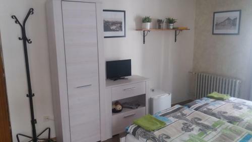 Hostal Penzion A Restaurace Modr� R??e T�bor