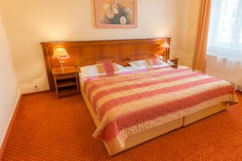 Hotel Ensana Centr�ln� L�zn? - Maria Spa