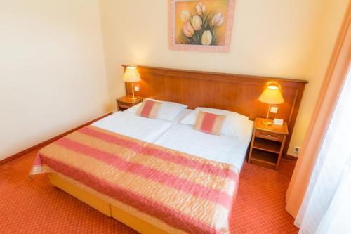 Hotel Ensana Centr�ln� L�zn? - Maria Spa