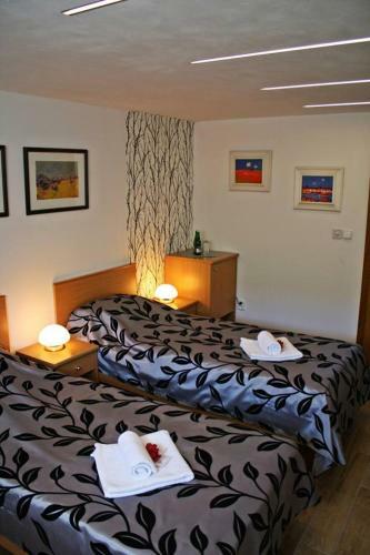 Hostal Penzion V Hlubok�