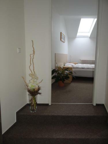 Apartm�ny Roz�rka