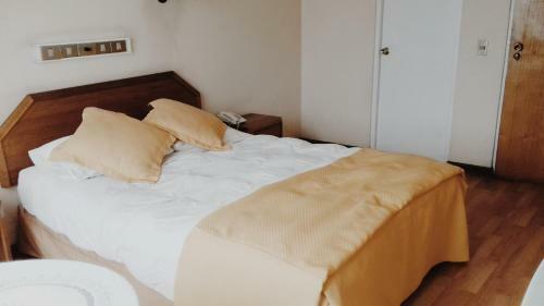 Hotel Plaza Los Andes