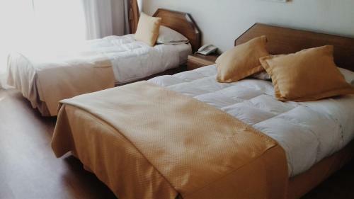 Hotel Plaza Los Andes