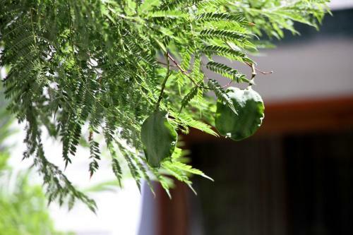 Hotel Plaza Los Andes