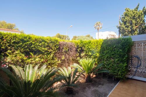 Apartamentos Ponent