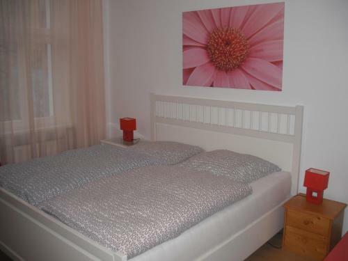 Apartm�ny Galeta