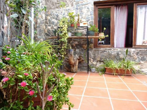 Hostel Casa Arbol