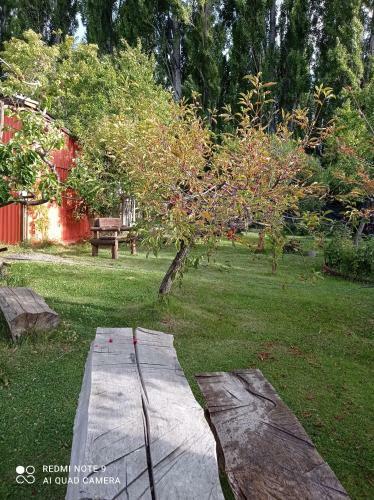 Calafate Viejo Hostel