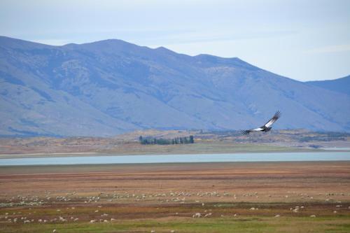 Hotel Madretierra Patagonia
