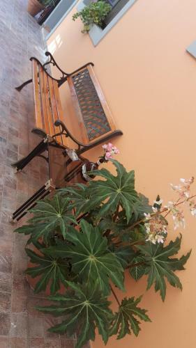 Hotel La Casona