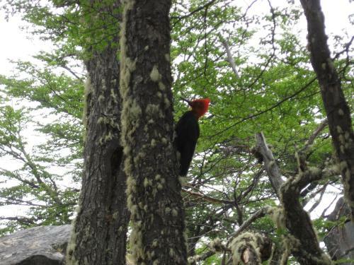 Lodge Apart El Cabur�