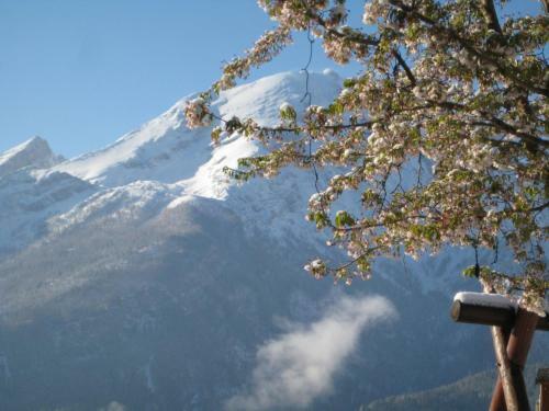 Hotel-gasthof Nutzkaser