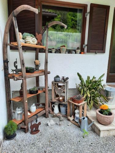 Apartamento Haus Angerbichl