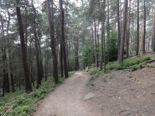 Hostal Landgasthof J�gerst�bchen