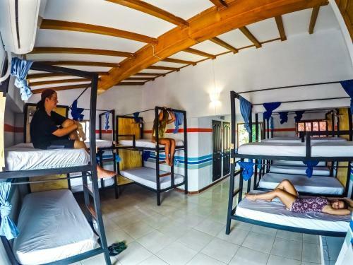 Hostal Calle 11 Hostel Rodadero