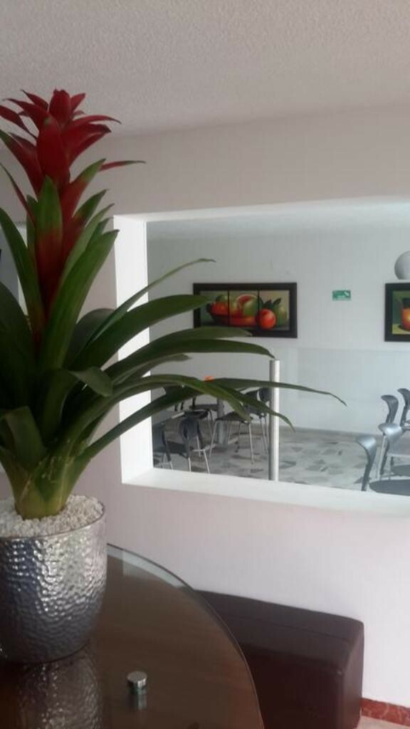 Hotel Ag Boutique Home