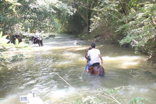 Viviendas Turisticas Hacienda Las Margaritas