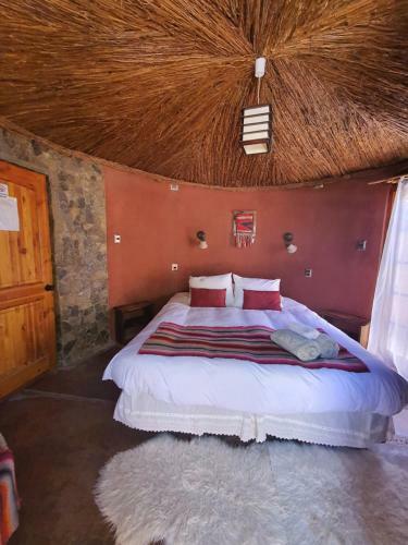 Hostal Masairi B&B