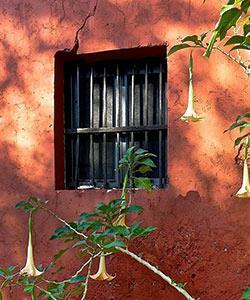 Lodge Hacienda Yunku