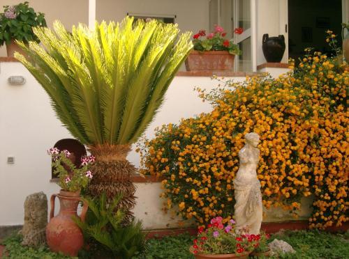 Bed & Breakfast Mediterraneo Guest House