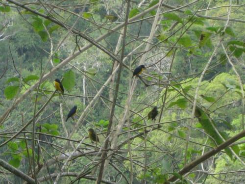 Lodge Caba�as Ecologicas Tumben Ha