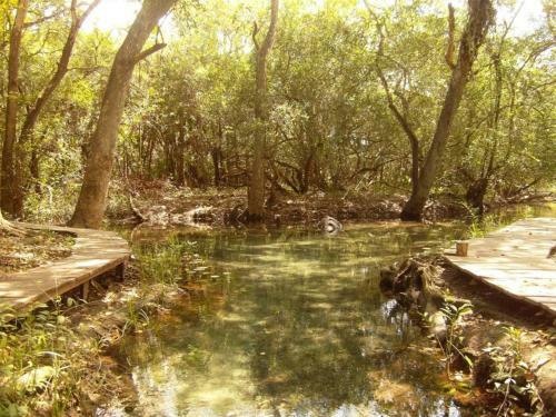 Lodge Caba�as Ecologicas Tumben Ha