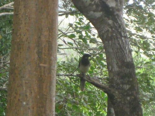Lodge Caba�as Ecologicas Tumben Ha