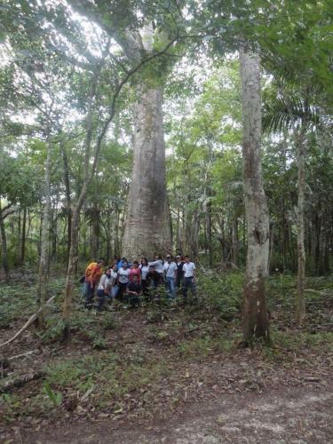 Lodge Caba�as Ecologicas Tumben Ha